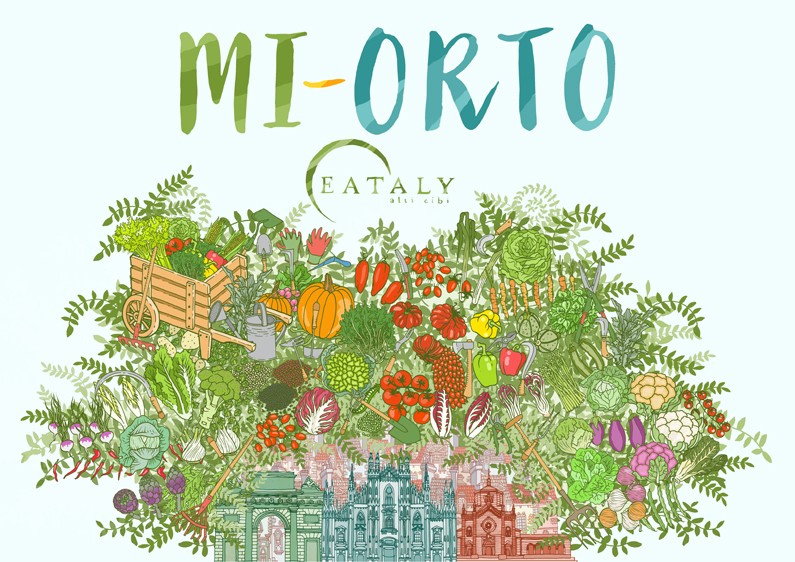 MI-ORTO