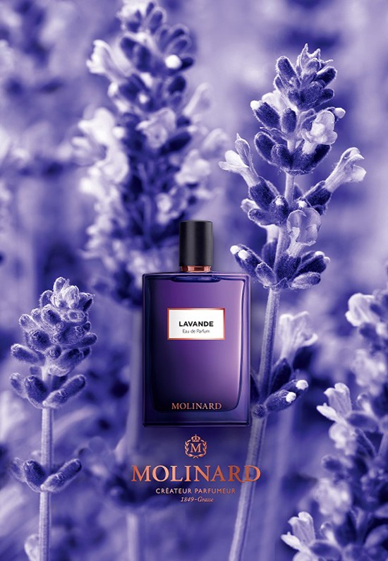 LES éLéMENTS MOLINARD: LAVANDE
